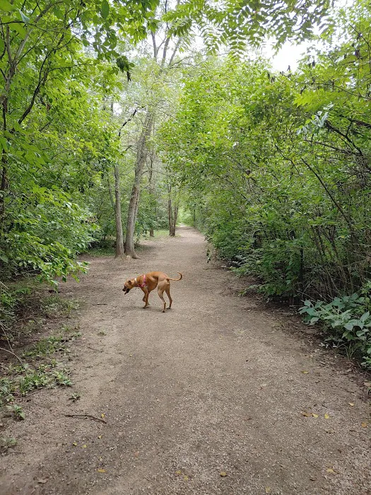 Stoll Off-Leash Dog Park 7