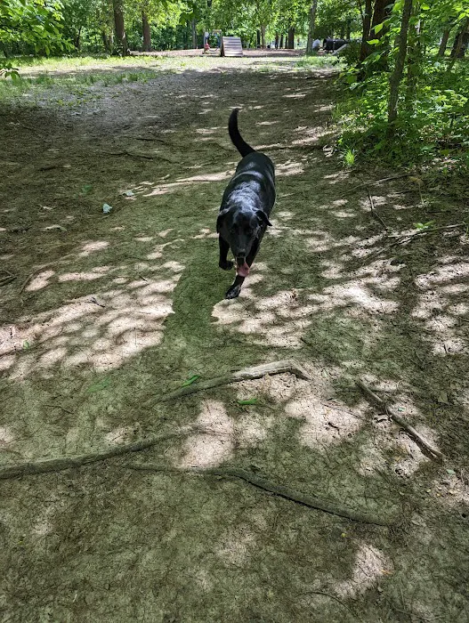 Blue Springs Dog Park 7