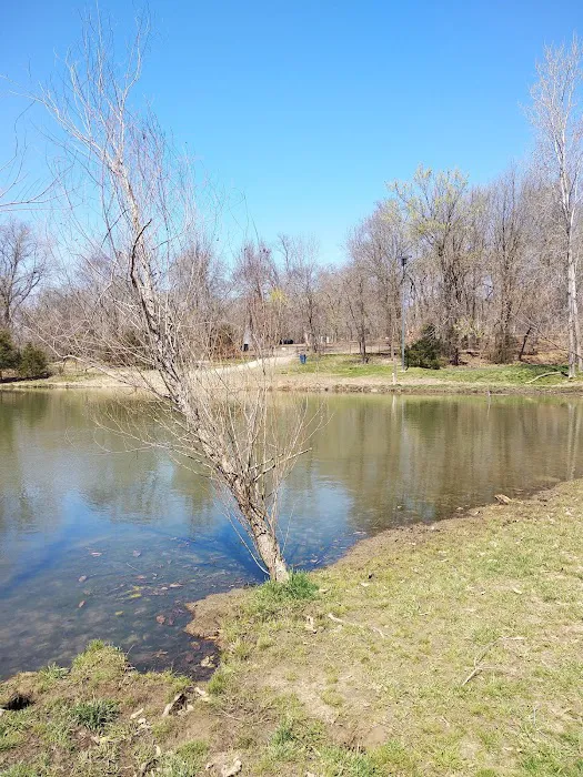 Blue Springs Dog Park 8