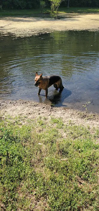 Blue Springs Dog Park 3