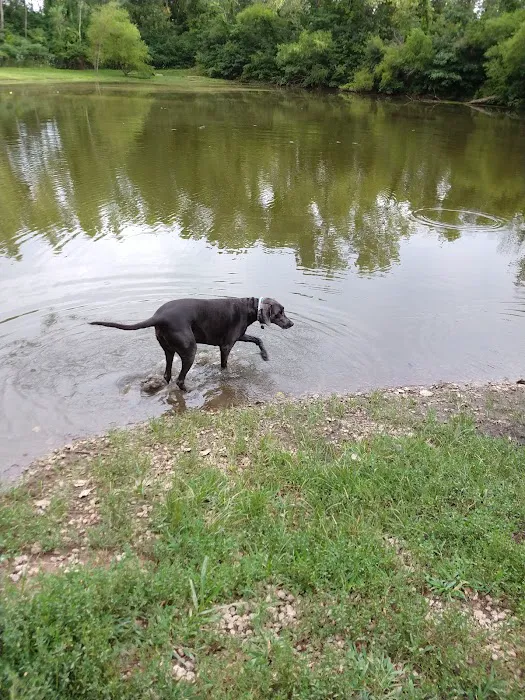 Blue Springs Dog Park 2