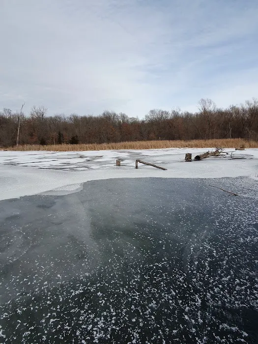 Blue Springs Dog Park 4