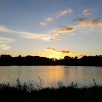 Blue Springs Dog Park ico