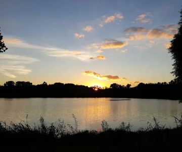 Blue Springs Dog Park