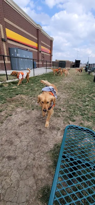 Dog Park at Love’s Travel Stops 2