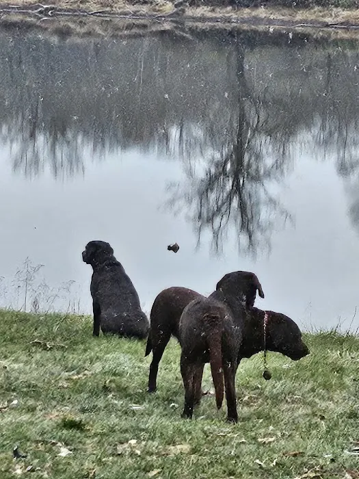 Mulvaney Ponds 3