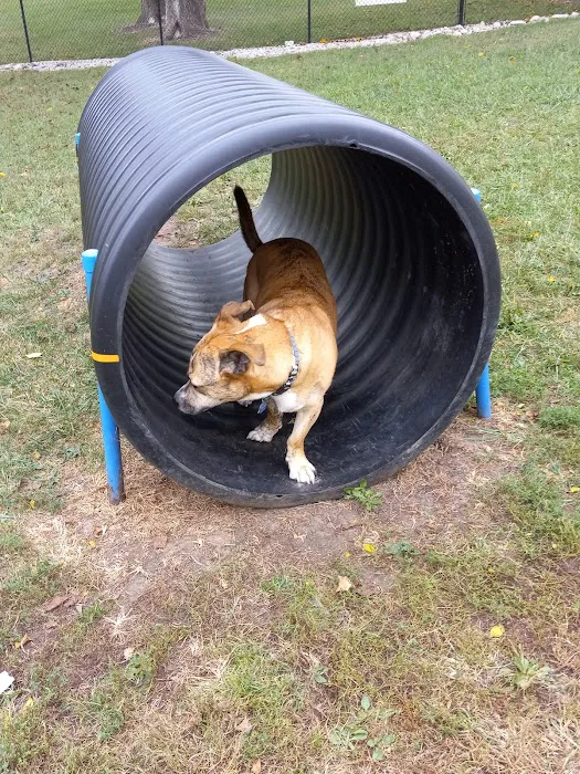 Century Bark Off Leash Dog Park 5