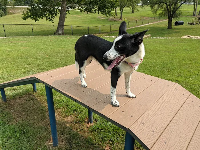 Century Bark Off Leash Dog Park 6