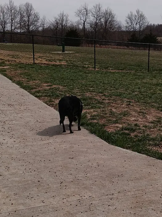 Smithville Lake Dog Park 6