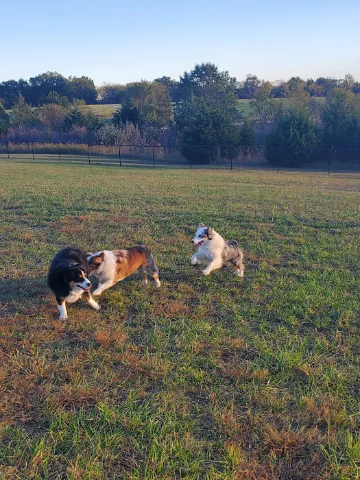 Smithville Lake Dog Park 10