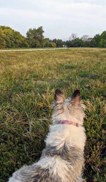 Harrisonville Dog Park 2