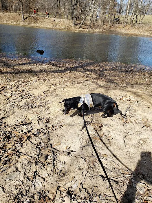 Harrisonville Dog Park 9