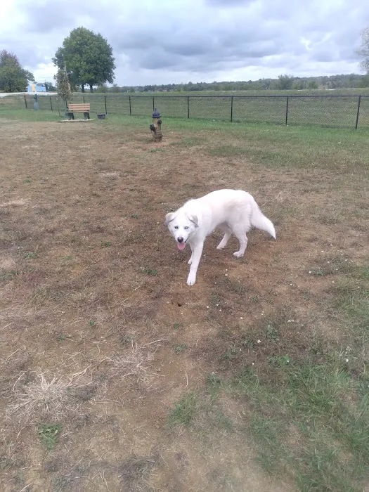 Paola Dog Park 2