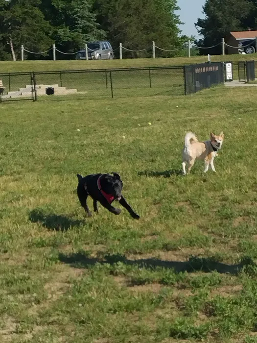 Paola Dog Park 7