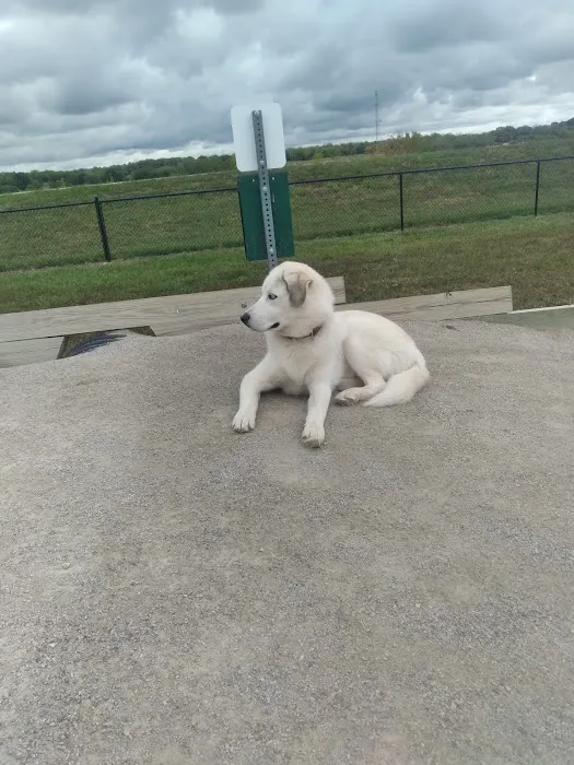 Paola Dog Park 5