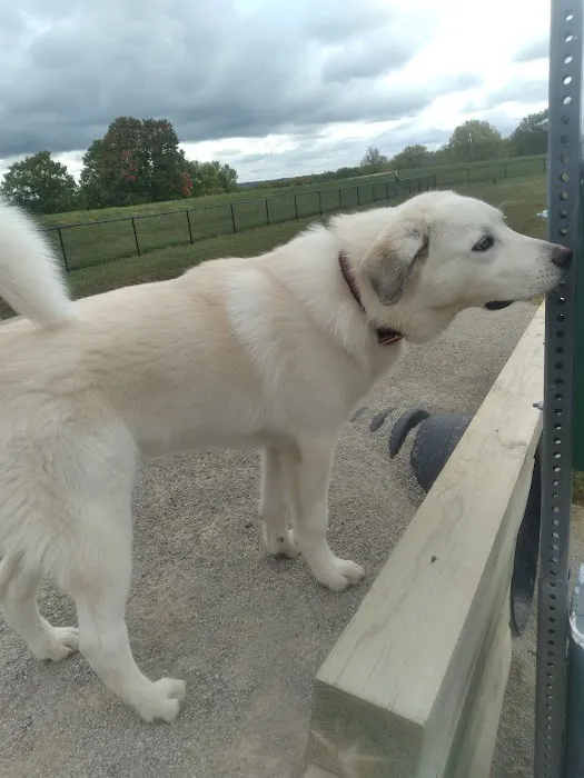 Paola Dog Park 1