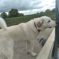Paola Dog Park ico