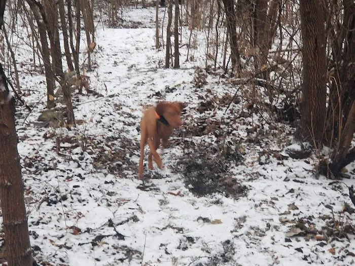 Fort Leavenworth Housing Dog Park 1