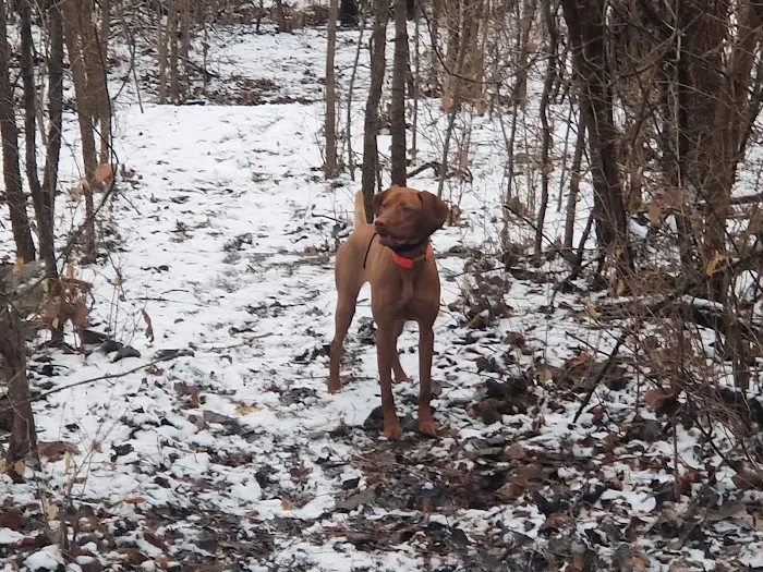 Fort Leavenworth Housing Dog Park 4