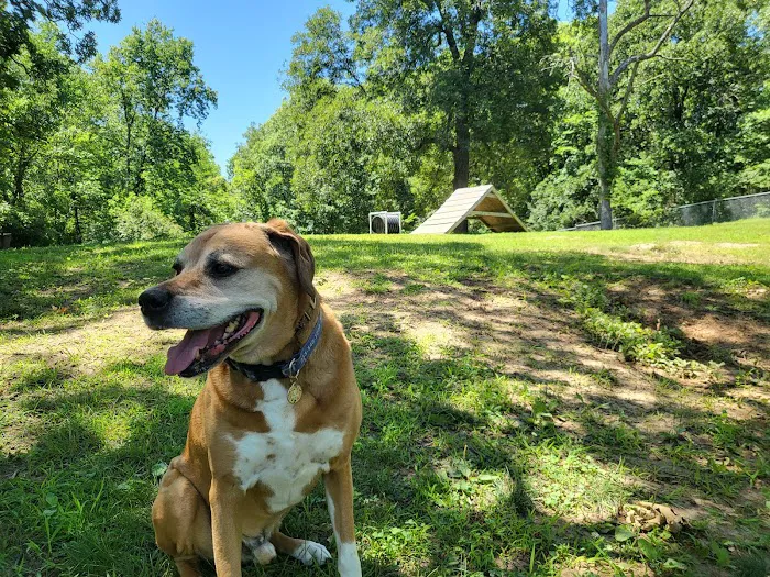 Fort Leavenworth Dog Park 6