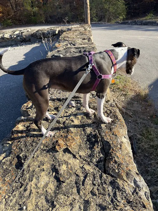 Fort Leavenworth Dog Park 5