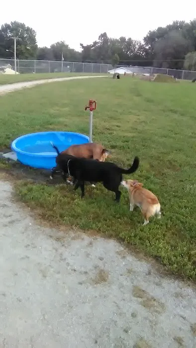 Atchison Fetch & Stretch Dog Park 1