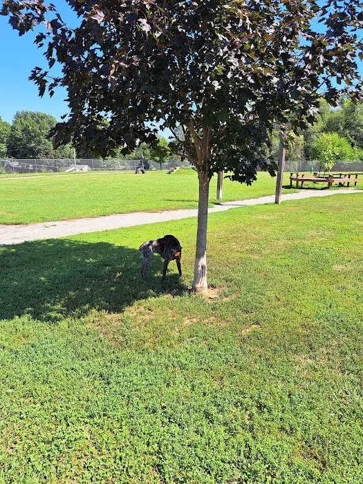 Atchison Fetch & Stretch Dog Park 7