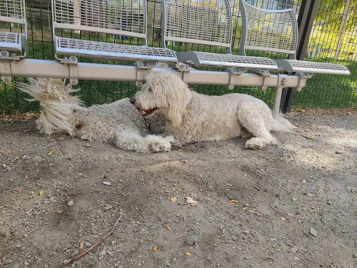Dog off leash area 5