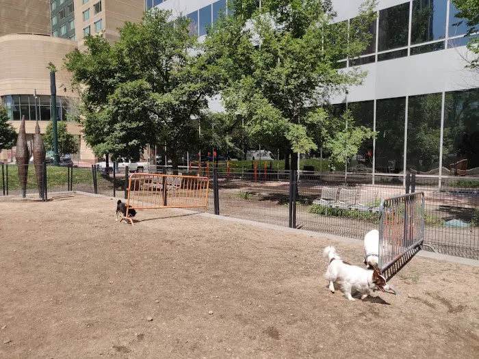 Dog off leash area 1