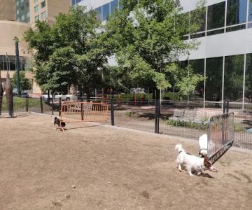 Dog off leash area