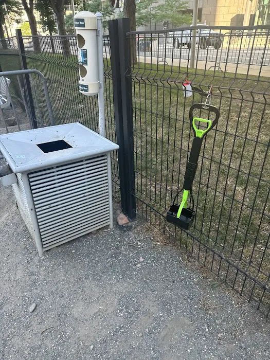Dog off leash area 6