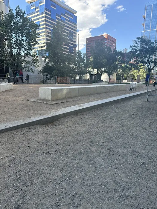 Dog off leash area 10