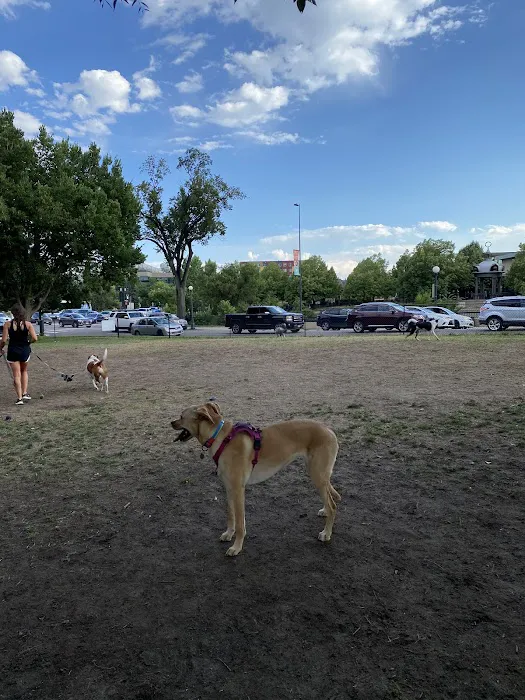Zeckenbark Dog Park 7