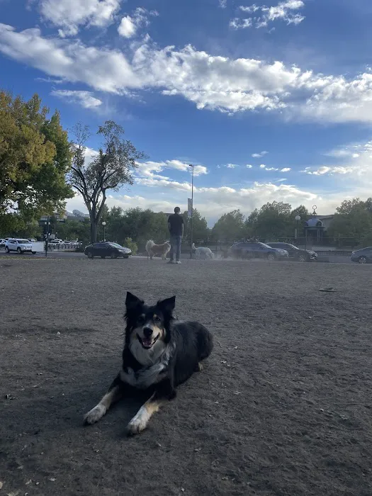 Zeckenbark Dog Park 3
