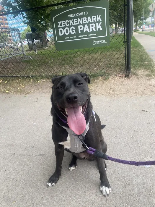 Zeckenbark Dog Park 1
