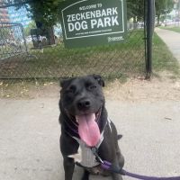 Zeckenbark Dog Park ico