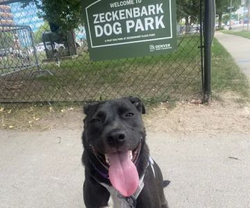 Zeckenbark Dog Park