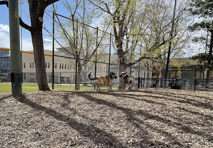Sonny Lawson Park - Dog Park 6