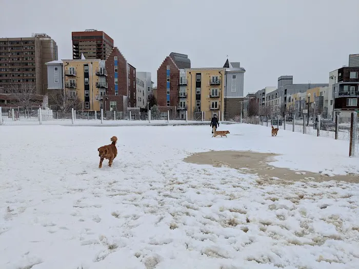 Dog Park 2