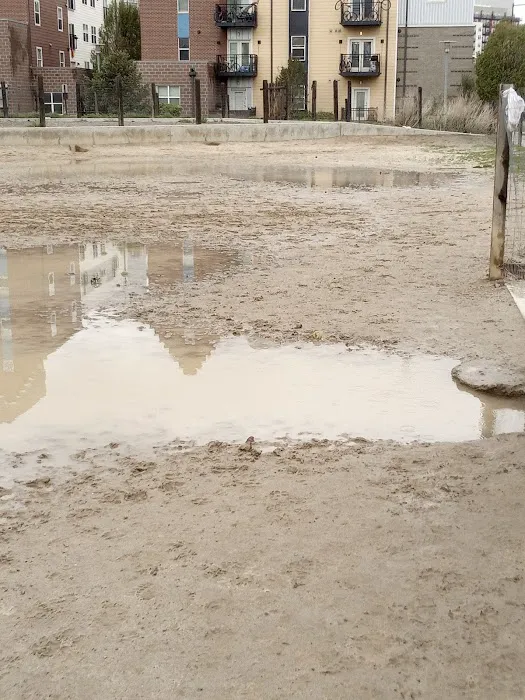 Dog Park 3