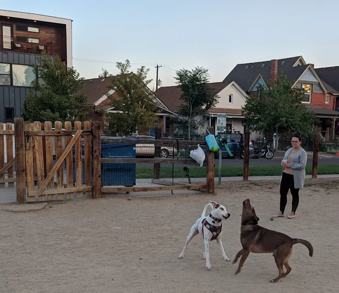 Dog Park 9