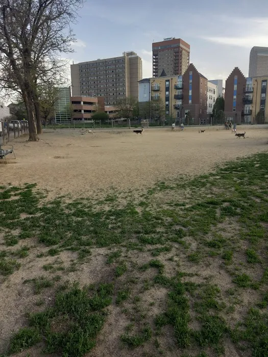 Dog Park 6