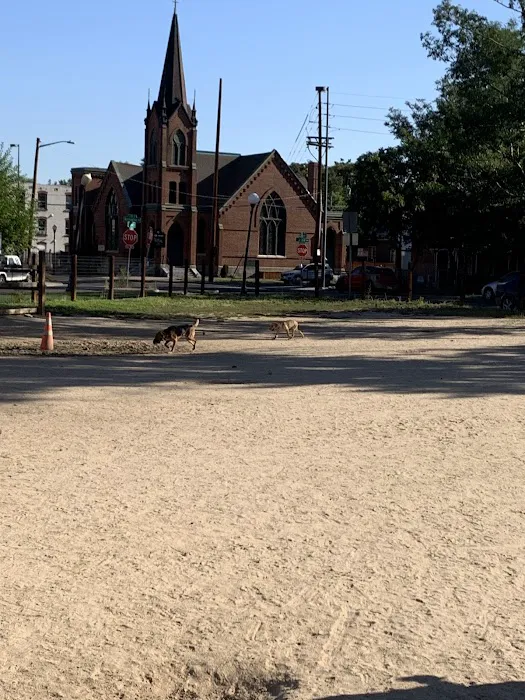 Dog Park 8