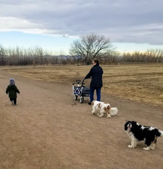 Dog Park 10