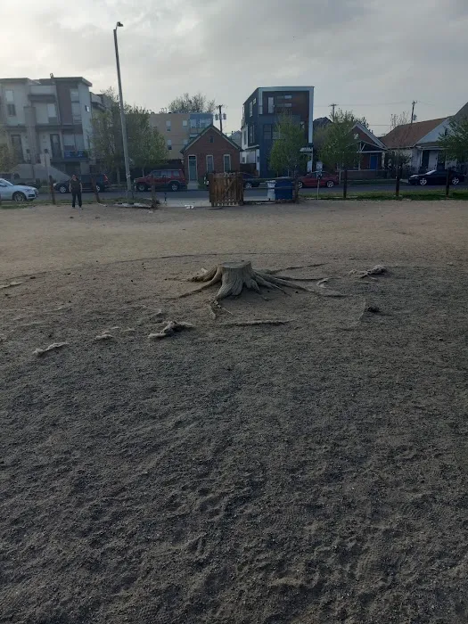 Dog Park 1