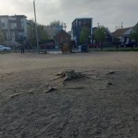 Dog Park ico