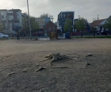 Dog Park