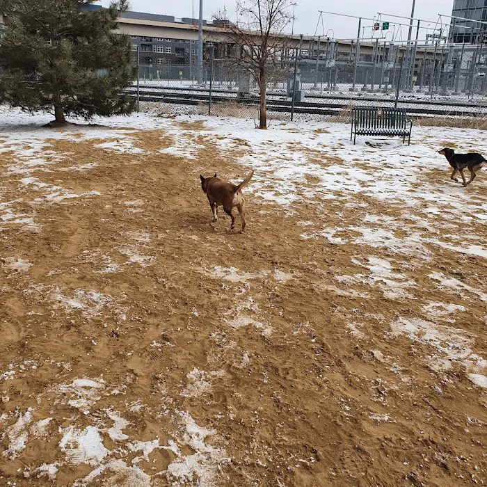 Rail Yard Dog Park 8