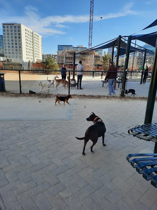 Rail Yard Dog Park 3