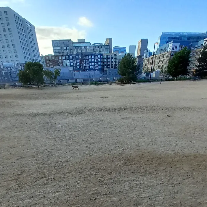 Rail Yard Dog Park 9